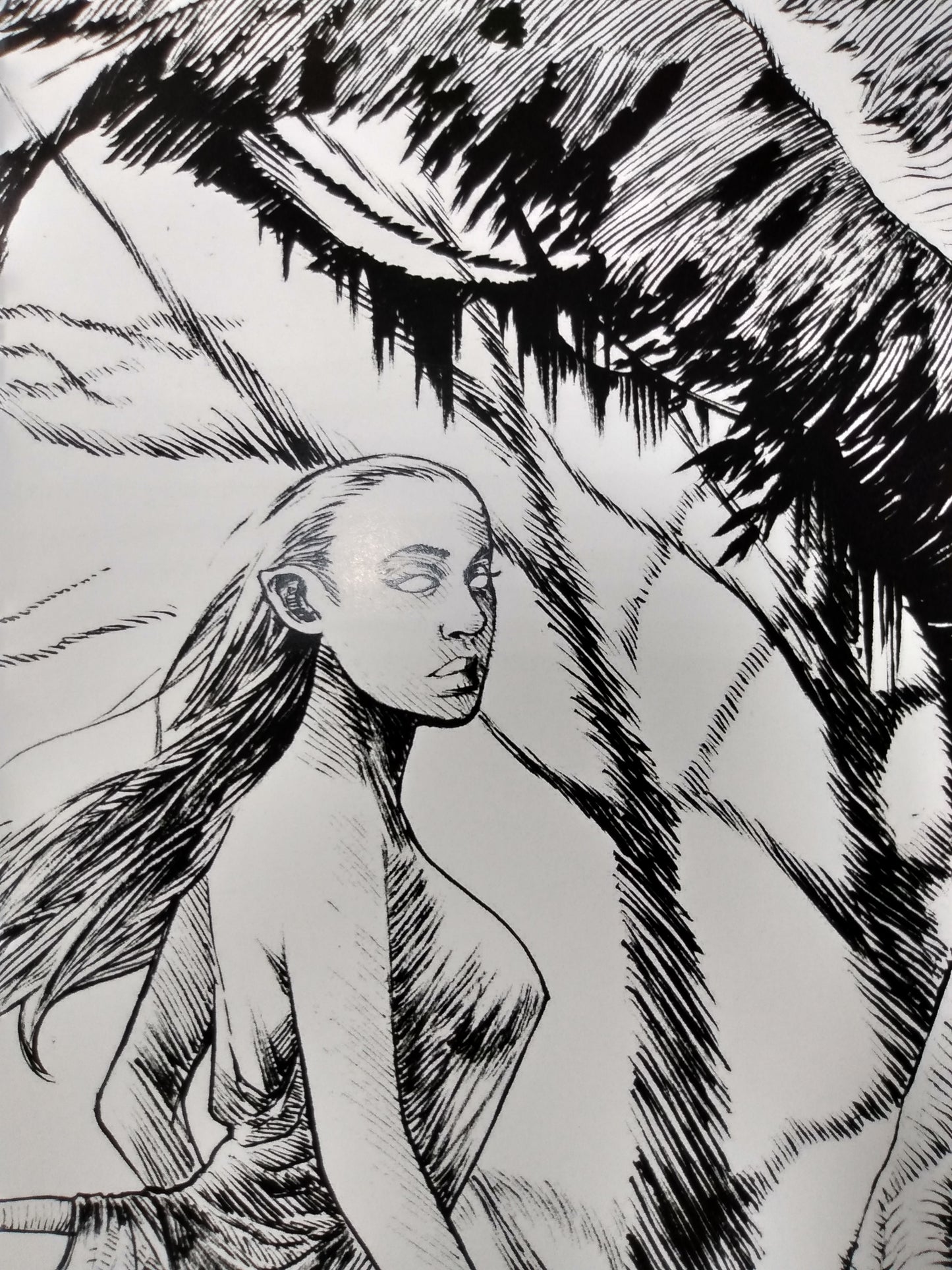 Troll Faerie Fantasy Art 11x17" SIGNED Print