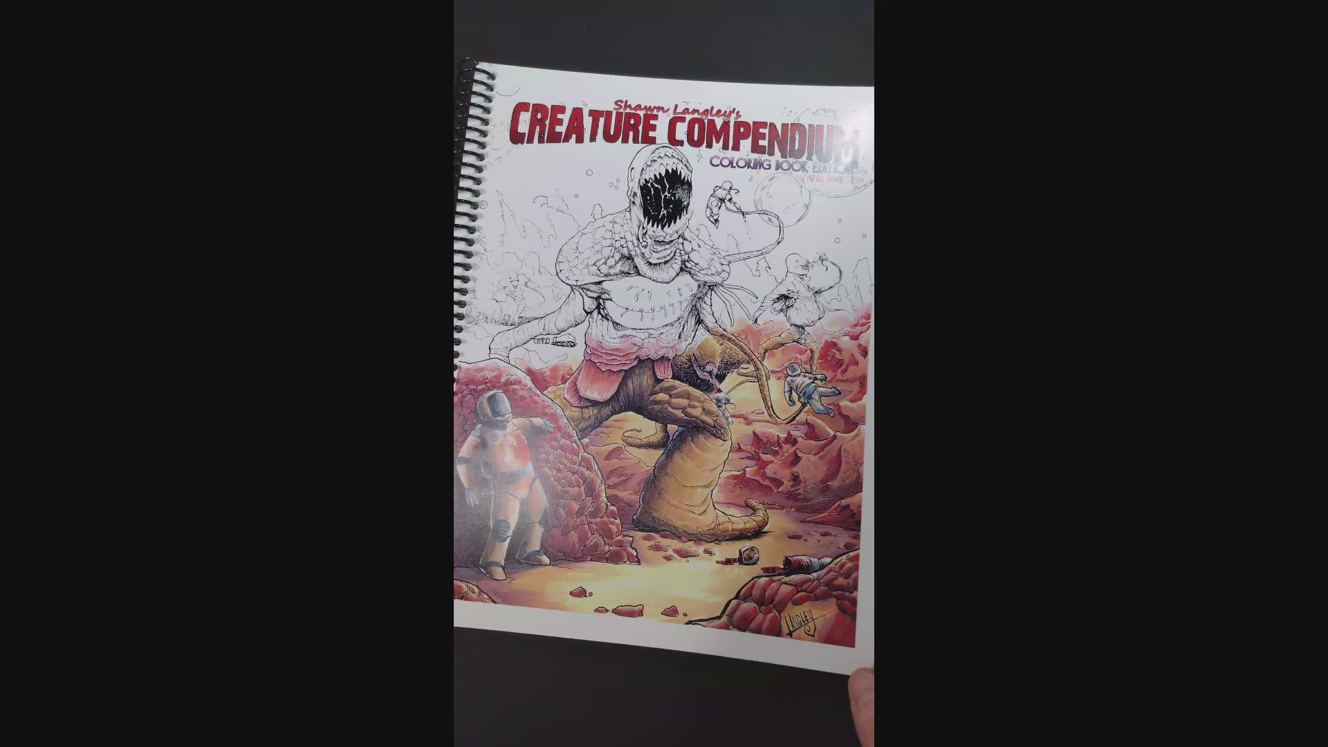 It's a real page turner! Here's a quick look through the pages of my coloring book. 